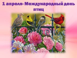 Чудо — птицы русских сказок