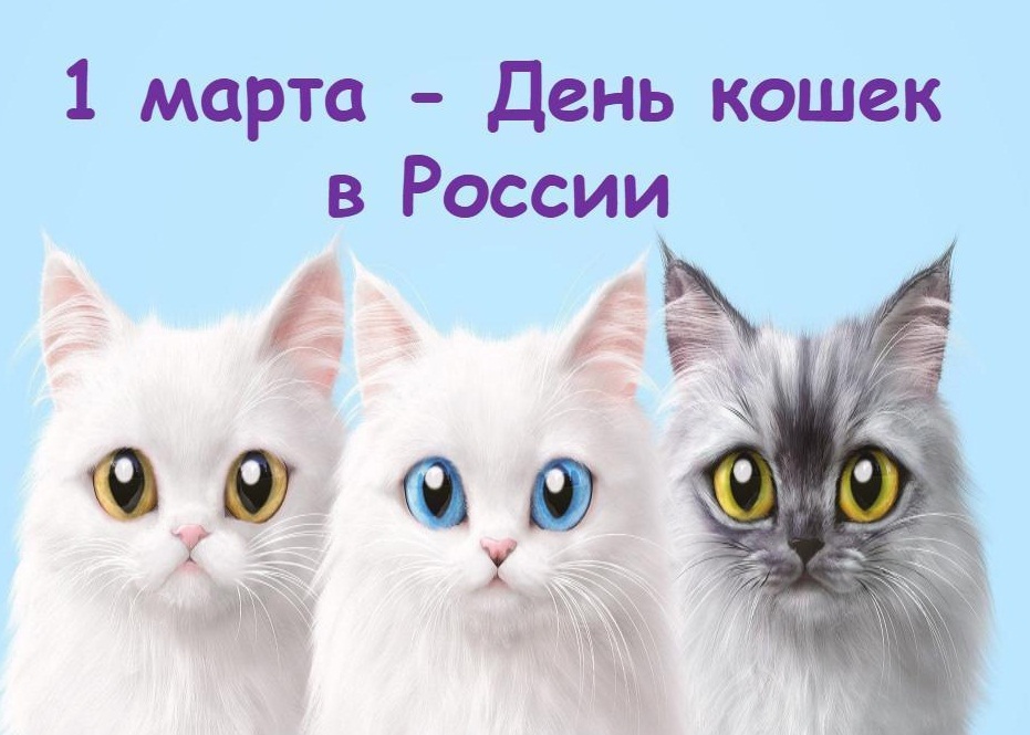 Кошки с книжной обложки