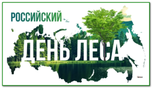 Легкие планеты: Российские дни леса — какие традиции хранят нашу экологию!
