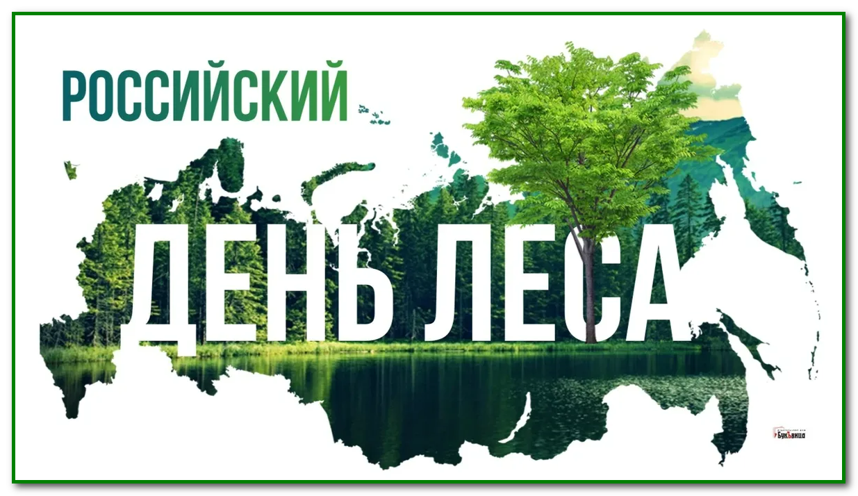 Легкие планеты: Российские дни леса — какие традиции хранят нашу экологию!
