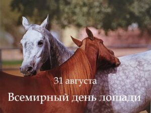 Сердце битвы и крылья ветра: легендарные кони русских богатырей