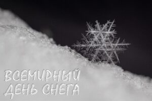 Снежное волшебство