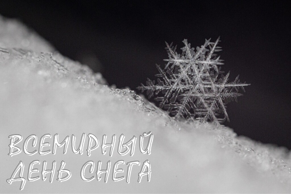 Снежное волшебство